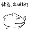 可爱的国宝熊猫QQ表情