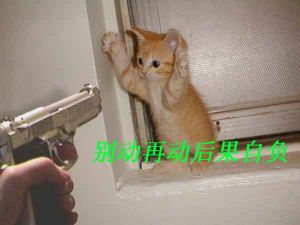 非常搞笑的QQ表情大全