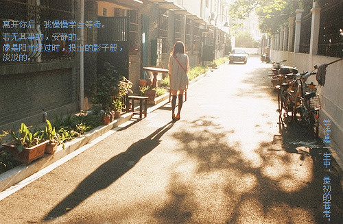 还是会寂寞_孤单寂寞的文字贴图空间素材