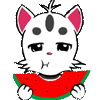 可爱猫咪小安动态表情 原创动漫小猫咪微信表情