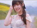 唯美意境明媚女生微信空间素材 被风吹散的蒲公英去哪了