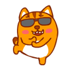 小咸猫微信表情包 小二货的逗比世界