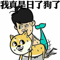 2022巨猥琐聊天表情图片 我真是日了狗了