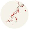 微信圆形花草唯美头像大全2022 短暂时光带走的是幸运