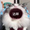 闹脾气专用表情包合集 再也快乐不起来了
