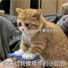 2023情侣之间发的色色聊天表情 今晚带被被去找你