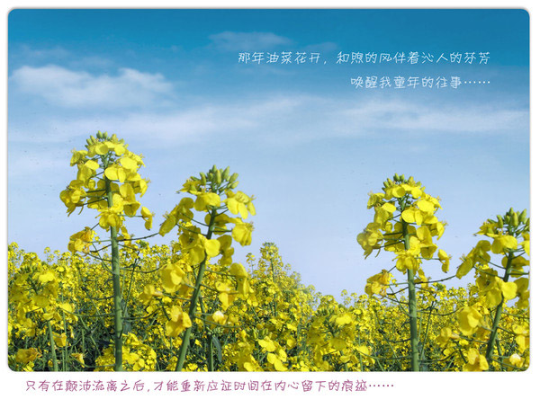QQ空间图片_www.qqtn.com 600×464
