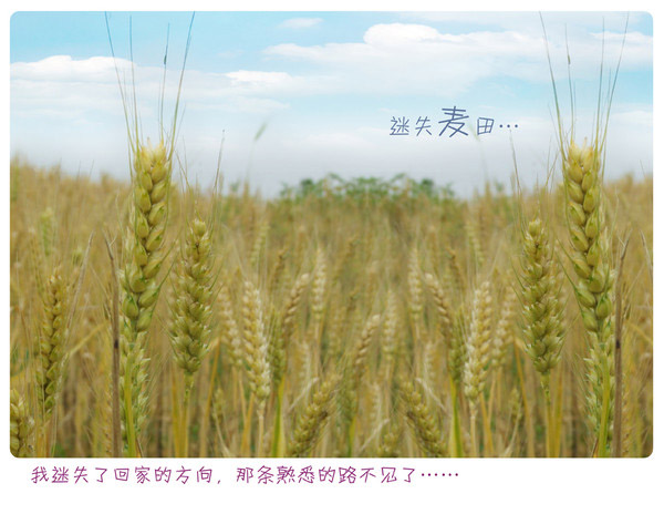 QQ空间图片_www.qqtn.com 600×464