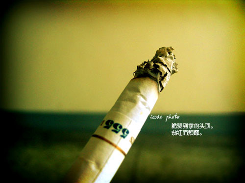 500&times;375