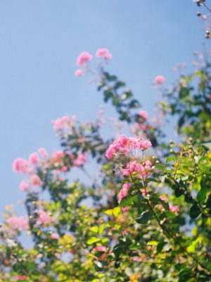 300&times;400