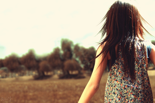 201072995717197.jpg