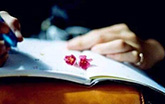 日记情人节微信签名大全 2022年情人节签名好听