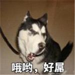 经典表情包文字大全集 怼人专用表情包