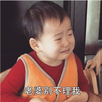 宋民国宝宝之老婆去哪了的表情包 我老婆呢