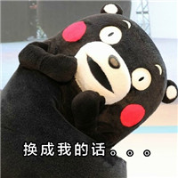 熊本熊带文字系列表情包 文青和我的区别
