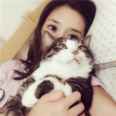2022可爱女生头像抱着猫咪高清大图 别说谁变了你拦不住时间
