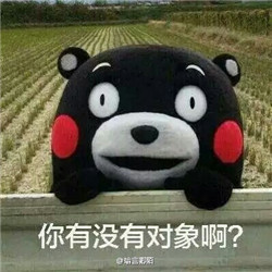 2022情人节熊本熊表白表情包 适合单身狗用的微信表情包