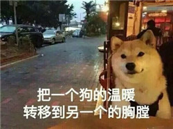 2022情人节祝单身狗节日快乐表情包 送给情人节找不到对象的你
