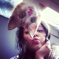 微信高清抱猫女生头像个性十足 当脑瘫猫咪遇上有爱女孩