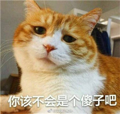 你别是个傻子吧表情包图片最新版 关于傻子的微信聊天表情包