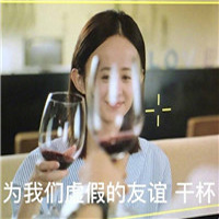 虚假情谊系列搞笑表情包 为虚假的友谊干杯表情包