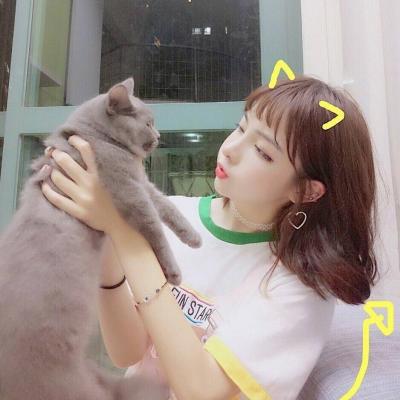抱猫咪的可爱女生头像大全2022 全幼儿园最萌最可爱