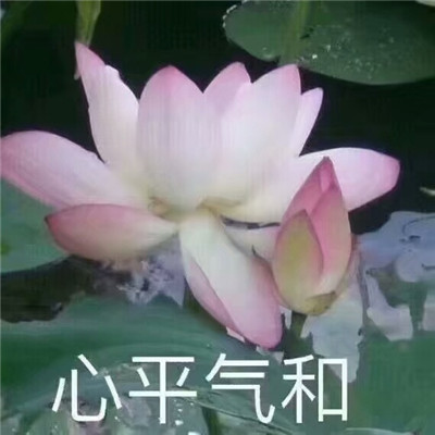 中老年人表情包微信图2022 心平气和四大皆空
