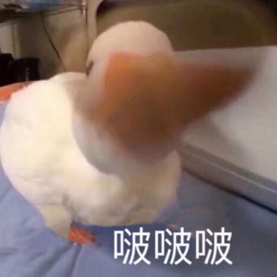 2022最新微搞怪奇葩头像逗比专属 读书是人的深度美容