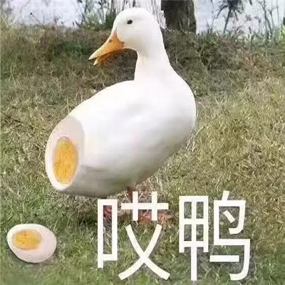 抖音沙雕表情包大全 最搞笑的表情包带字图片