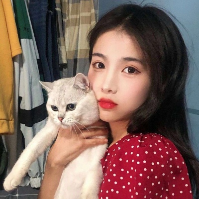 女生抱猫咪头像可爱好看 你是例外唯一偏爱