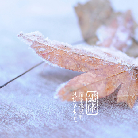 2023霜降节气唯美又好看的图片 霜降节气发朋友圈的好看的素材