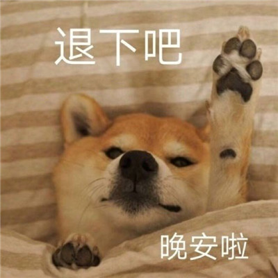 2023最新版晚安表情包可爱撩人 说晚安的可爱表情包