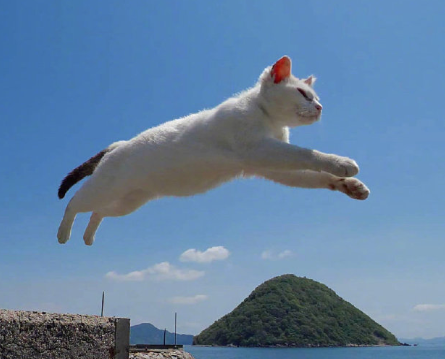 image.png image.png