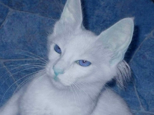 image.png image.png