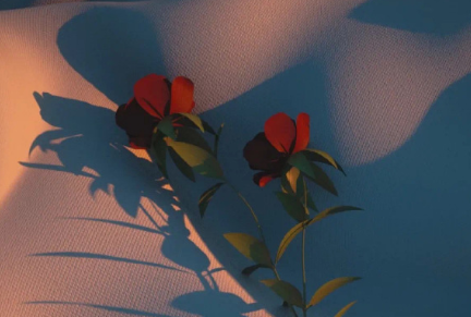 image.png image.png