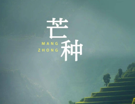 2023芒种节气的朋友圈祝福语 芒种早安朋友圈文案