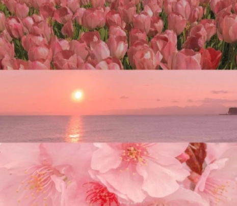image.png image.png