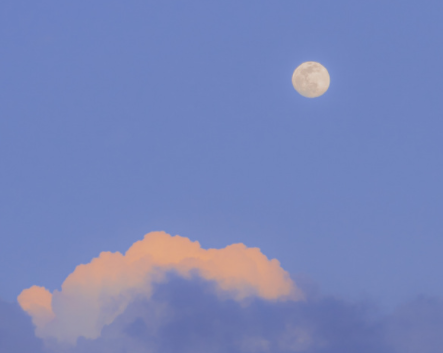 image.png image.png