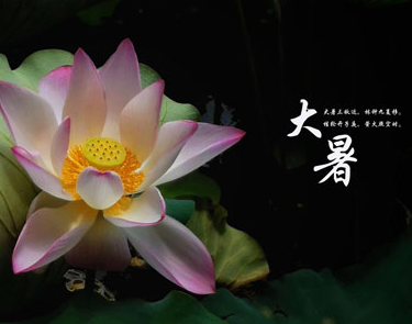 2023大暑节气的心情说说 大暑的经典祝福语文案