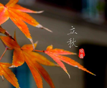 立秋问候客户简单祝福最新 立秋节日给客户的祝福语