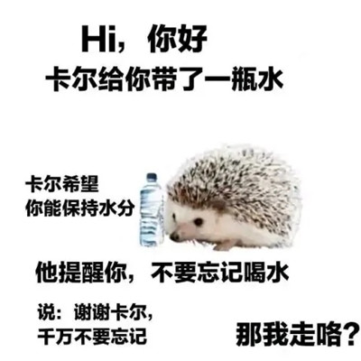 2023最新刺猬卡尔表情包大全 谢谢你卡尔超级实用的文字表情合集