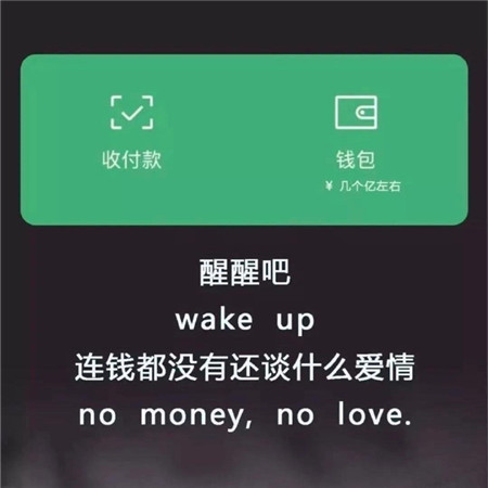 最新版又超级可爱的背景图有趣能上热门的 醒醒吧连钱都没有还谈什么爱情