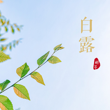 2023白露节气的唯美又好看的图片 白露节气发朋友圈的配图