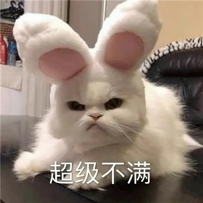 实用的微信超可爱的表情精选 超萌超热门的微信聊天表情