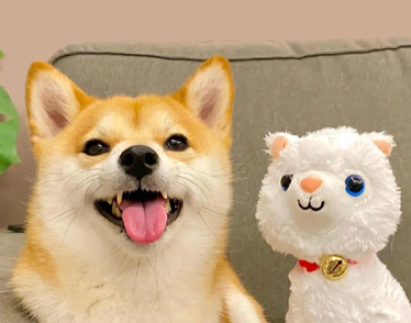 image.png image.png