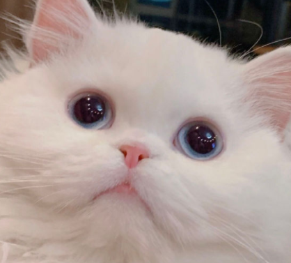 image.png image.png