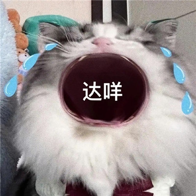 闹脾气专用表情包合集 再也快乐不起来了