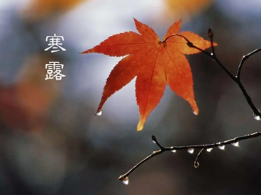 2022寒露朋友圈早安问候语 寒露节气暖祝福语 2022寒露朋友圈早安问候语 寒露节气暖祝福语