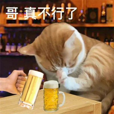 卖萌表情全新可爱2023 很受用的俏皮萌萌的表情合集