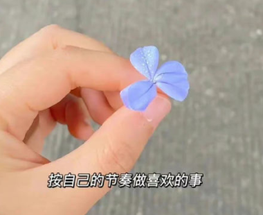 让男人有保护欲的网名 有魅力吸引得住男生的网名 让男人有保护欲的网名 有魅力吸引得住男生的网名